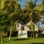 Your Guide to Real Estate Sales Agencies in Jamaica
